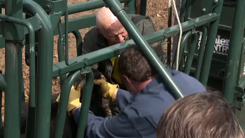 El Dr. Pol trabajando El increíble Dr. Pol