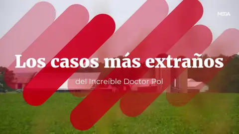 Los casos más extraños a los que se enfrenta el increíble Doctor Pol Los casos más extraños a los que se enfrenta el increíble Doctor Pol