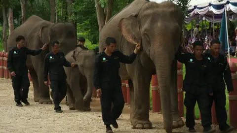 Tailandia y sus curiosidades de la naturaleza y la nobleza Tailandia y sus curiosidades de la naturaleza y la nobleza