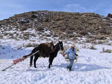 Un traslado complicado Un traslado complicado