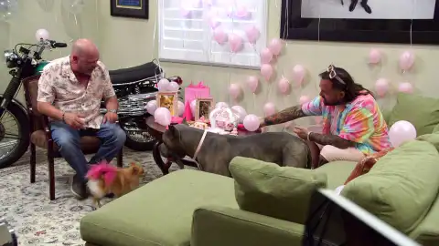 Cumpleaños en La casa de empeños La casa de empeños