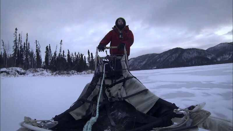Cody nunca olvidará el primer día que llevó un trineo de perros