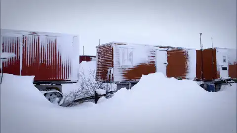 Vida bajo cero Vida bajo cero