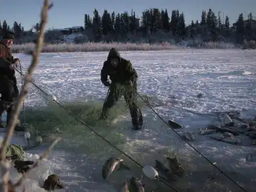 Los Hailstöne desafían al hielo por el trueque autóctono 