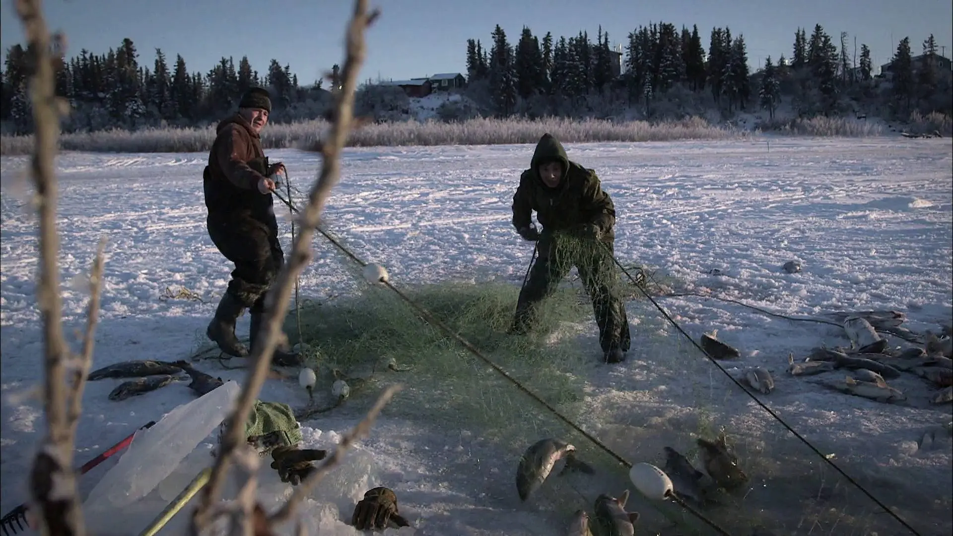 Los Hailstöne desafían al hielo por el trueque autóctono Los Hailstöne desafían al hielo por el trueque autóctono