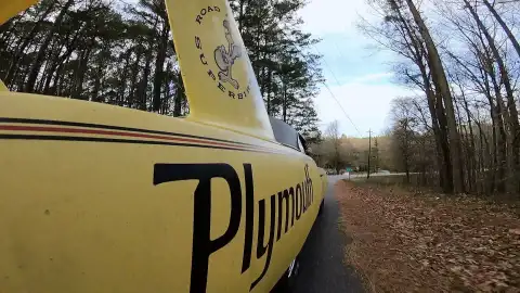 Superbird Cazatesoros