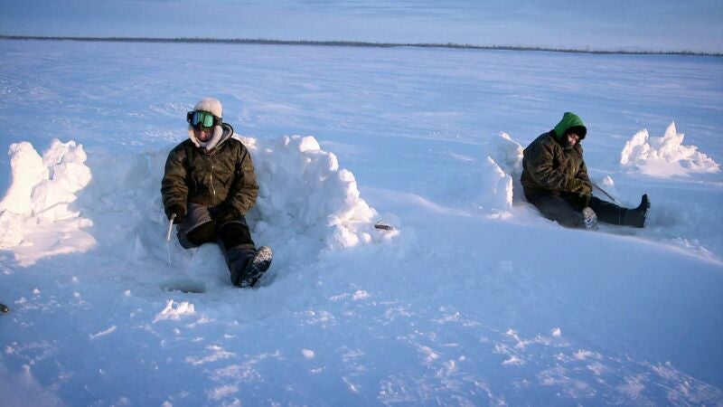 Chip y Agnes Hailstöne se vuelven a casa con las manos vacías