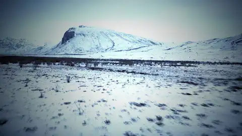 Vida bajo cero Vida bajo cero