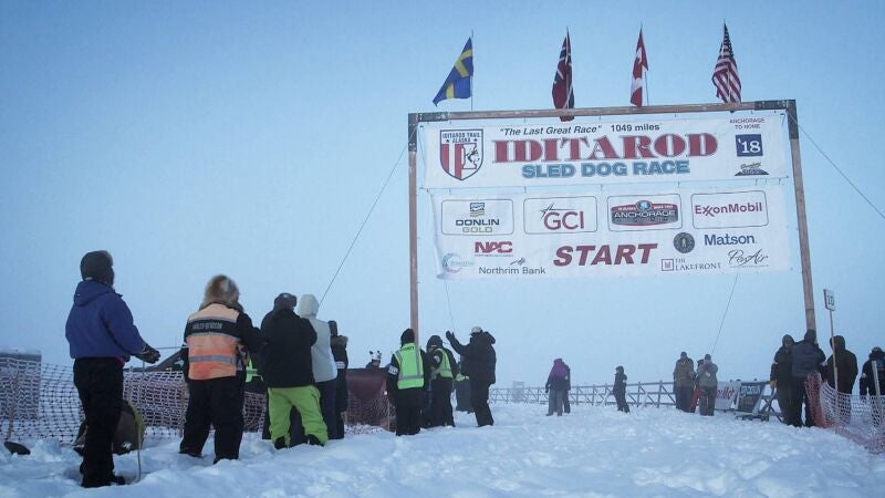 Jessie Holmes se prepara para conquistar la Iditarod: 1.600 kilómetros de aventura en Alaska