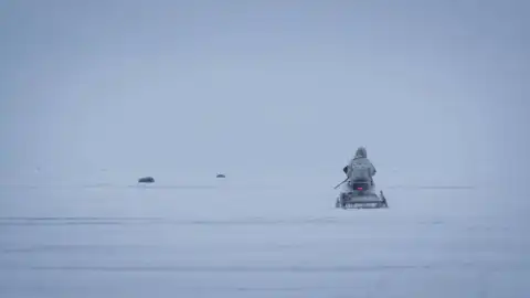 Vida bajo cero Vida bajo cero