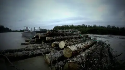 Vida bajo cero Vida bajo cero