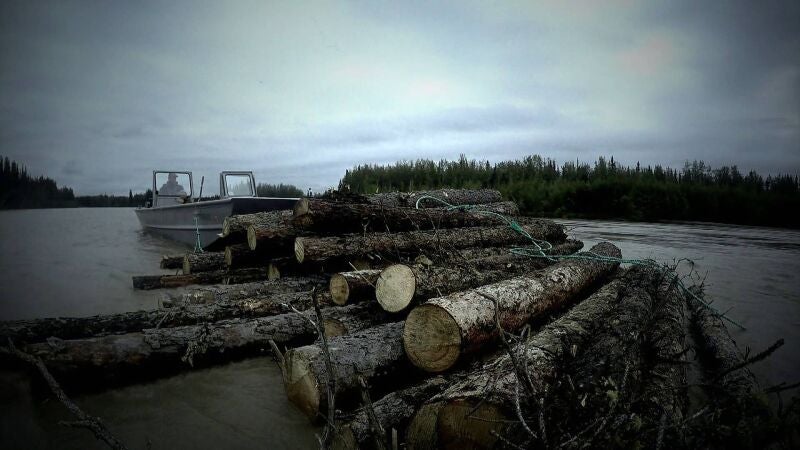 Jessie prueba una nueva técnica para intentar hacerse con más leña durante el verano