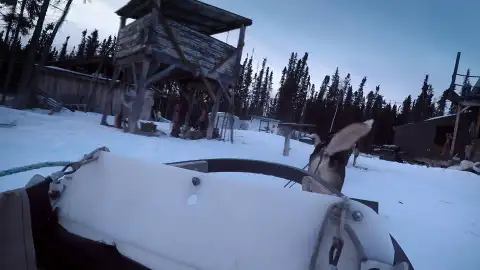 Vida bajo cero Vida bajo cero