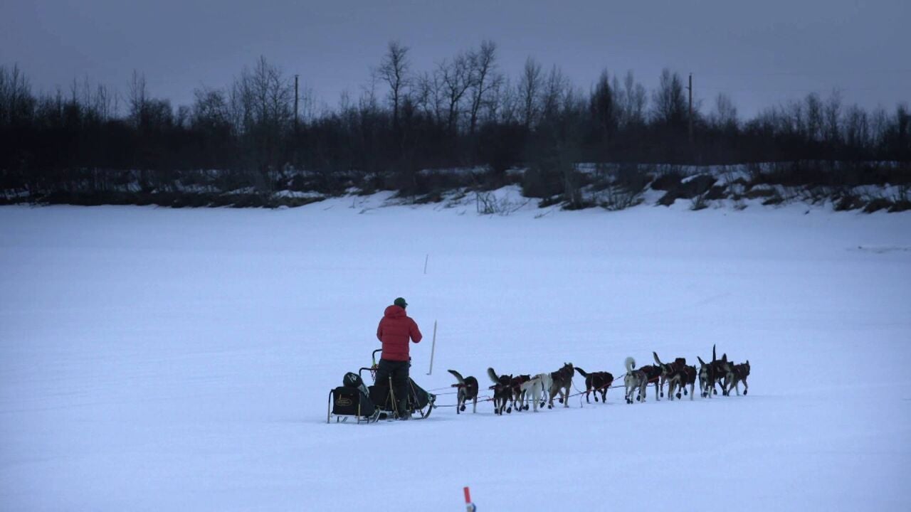 Jessie Holmes "Salir con mis perros es una experiencia espiritual"