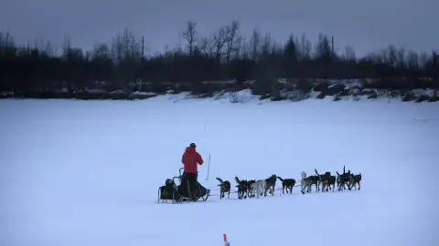 Vida bajo cero Vida bajo cero