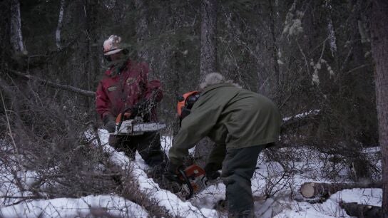 Andy Bassich corta le&ntilde;a y ense&ntilde;a a su pareja a manejar la motosierra para sobrevivir al duro invierno