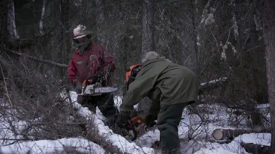 Andy Bassich corta leña y enseña a su pareja a manejar la motosierra para sobrevivir al duro invierno Andy Bassich corta leña y enseña a su pareja a manejar la motosierra para sobrevivir al duro invierno