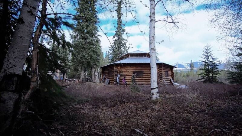 Ricko Dewilde regresa a su cabaña familiar en el Ártico y descubre huellas de oso 