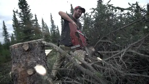 Vida bajo cero Vida bajo cero
