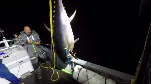 Pesca extrema Pesca extrema