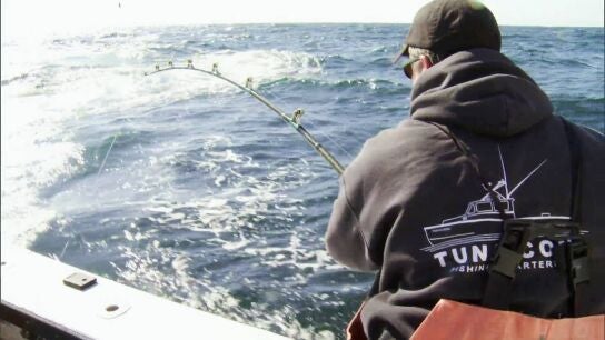 Mega, el destino perfecto para quienes buscan aventura, naturaleza, deportes y experiencias &uacute;nic