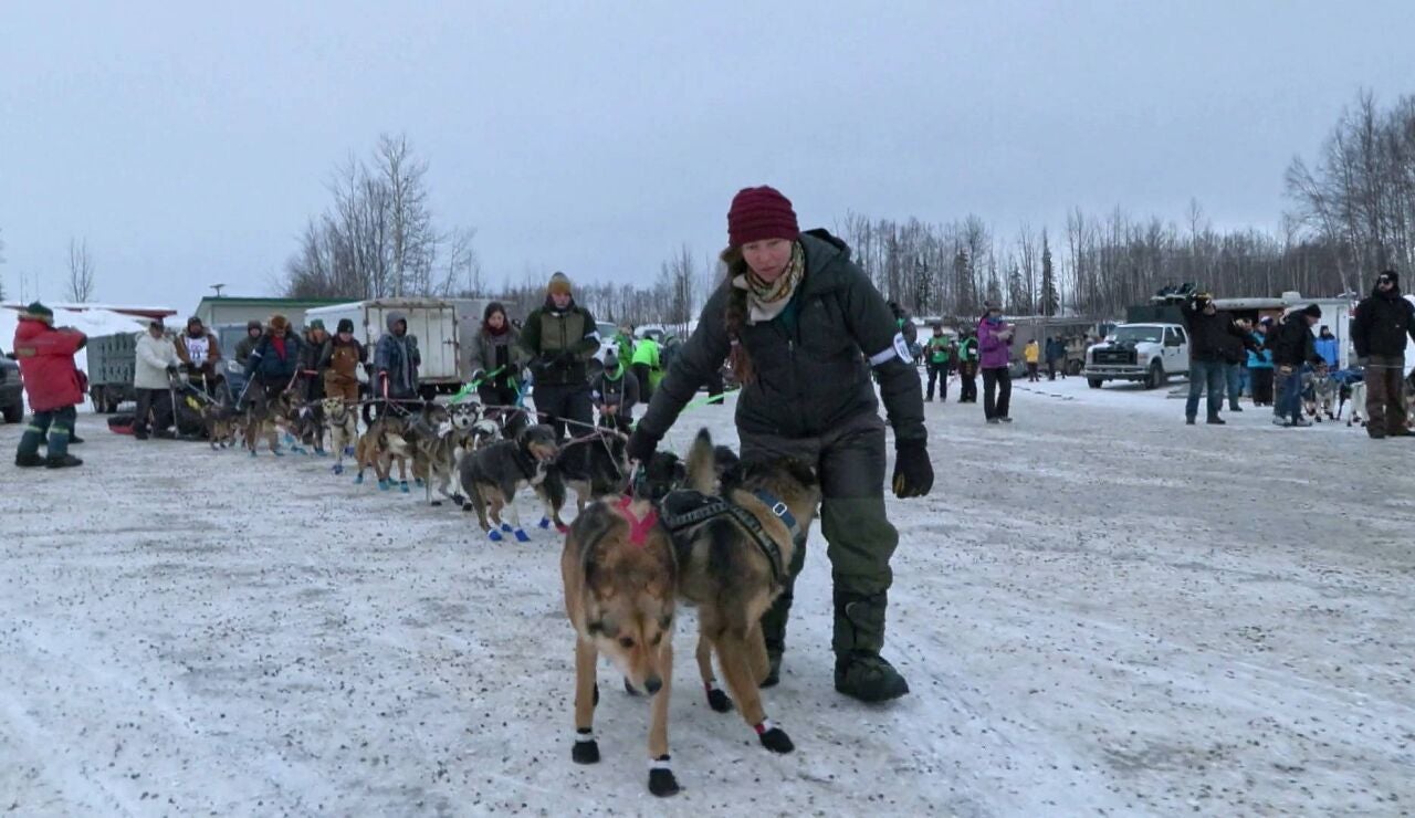 Iditarod