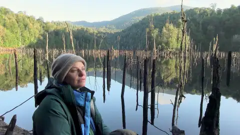 kate Aislados Australia