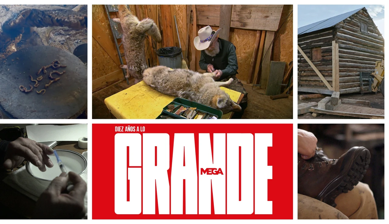 elige la habilidad favorita de nuestros aventureros de Mega