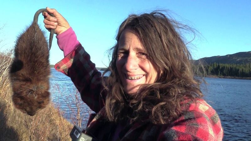 ¿A quién no le apetece una sabrosa rata almizclera a la parrilla para cenar?