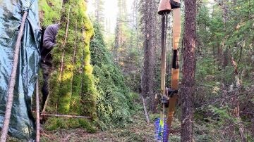 Así se prepara Alan para el frío invierno: crea una red de pesca casera y una puerta de ramas para su refugio