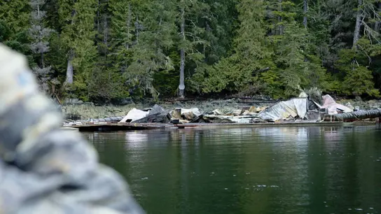 Cole Sturgis afronta en soledad la vida en Thorne Bay después de que el fuego destruyera la casa flotante de su vecino Cole Sturgis afronta en soledad la vida en Thorne Bay después de que el fuego destruyera la casa flotante de su vecino