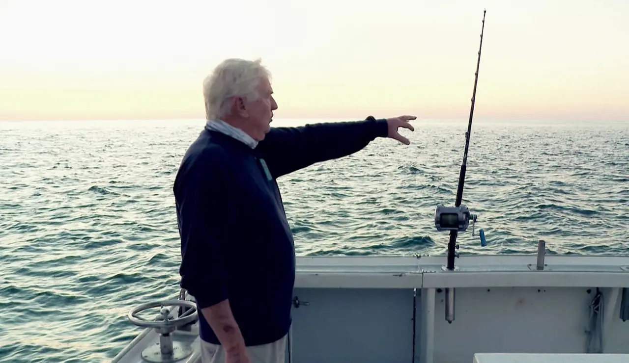 Pesca extrema - El estado del mar determina dónde se acumularán los peces