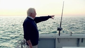 Pesca extrema - El estado del mar determina dónde se acumularán los peces