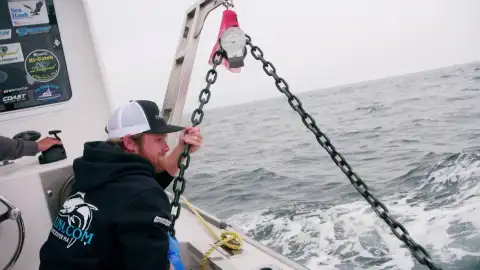 Pesca extrema - Este es el requisito indispensable que deben de tener los atunes Pesca extrema - Este es el requisito indispensable que deben de tener los atunes