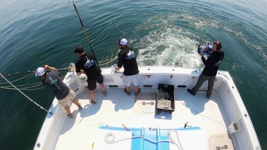 Pesca extrema - La ca&ntilde;a se engancha con el arp&oacute;n: &iexcl;menudo l&iacute;o se ha formado!