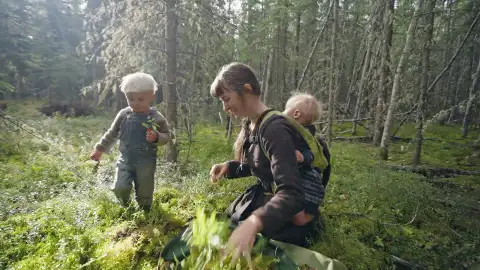 A 53 grados bajo cero: así prepara una joven familia nómada con dos niñospequeños su cabaña para sobrevivir al invierno en Alaska A 53 grados bajo cero: así prepara una joven familia nómada con dos niñospequeños su cabaña para sobrevivir al invierno en Alaska
