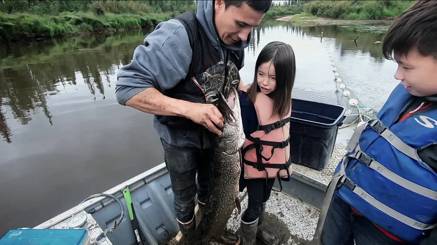 Ricko Dewilde enseña a sus hijos a pescar para sobrevivir en Alaska Ricko Dewilde enseña a sus hijos a pescar para sobrevivir en Alaska