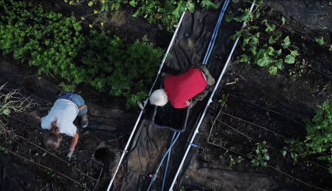 Andy fabrica su propio carb&oacute;n vegetal en Alaska con un ingenioso m&eacute;todo casero