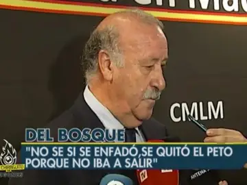 Vicente Del Bosque Vicente Del Bosque