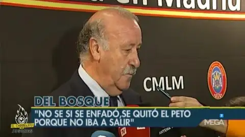 Vicente Del Bosque Vicente Del Bosque