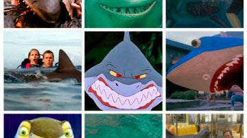 Sharkbado