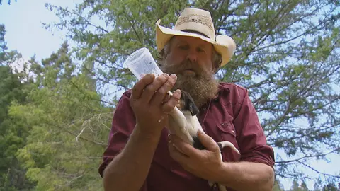 Mountain Men Mountain Men