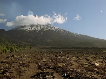Hacemos un viaje de más de 65 millones de años Hacemos un viaje de más de 65 millones de años