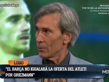 Lobo Carrasco Lobo Carrasco