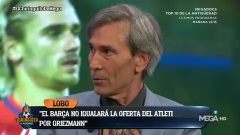 Lobo Carrasco Lobo Carrasco