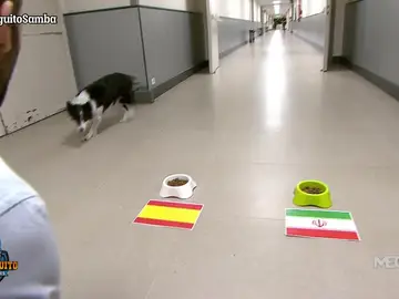 Samba Samba
