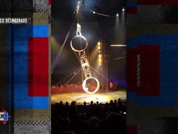 Cuando un circo se desmadra sin control Cuando un circo se desmadra sin control