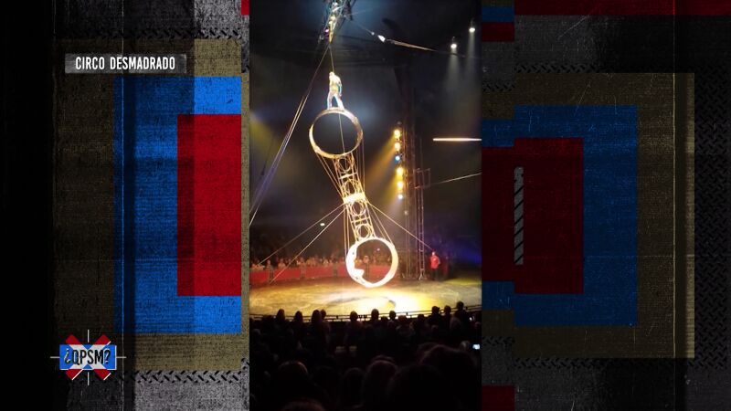  Cuando un circo se desmadra sin control