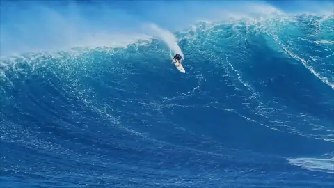 Surf Surf