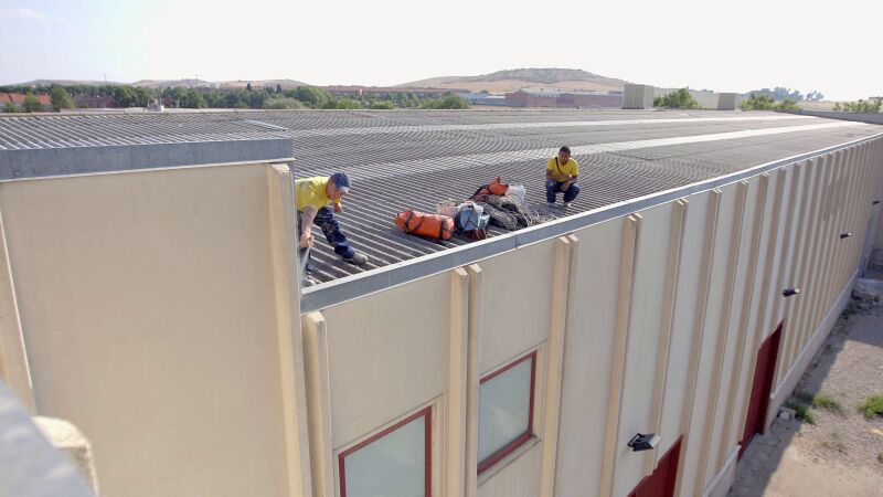 Un panal de avispas complica el trabajo a 11 metros de altura